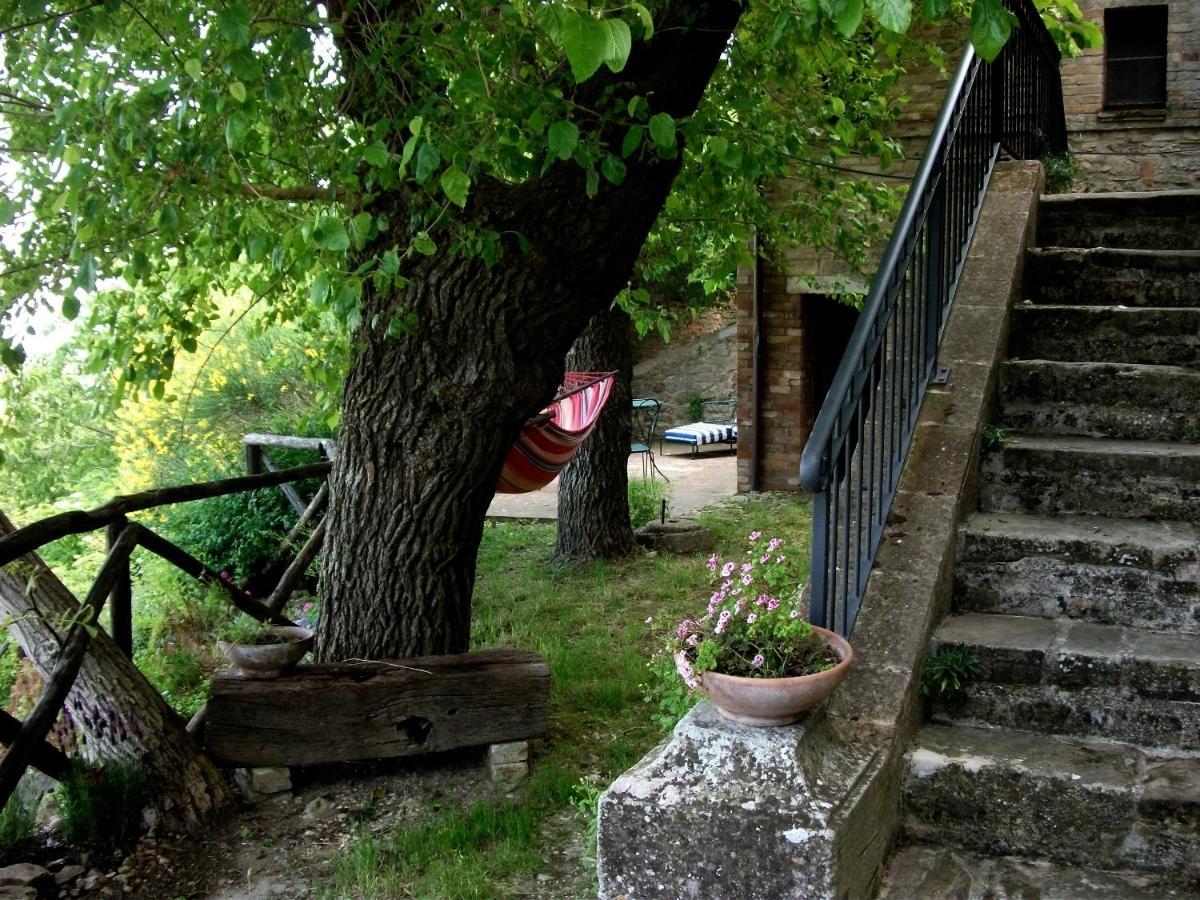La Rosa Scarlatta Monterubbiano Exteriör bild